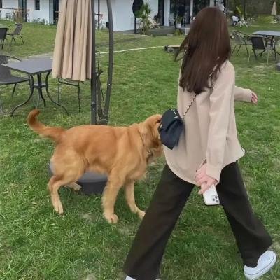 怪奇之爱